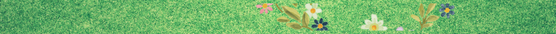 separadores naturaleza.png