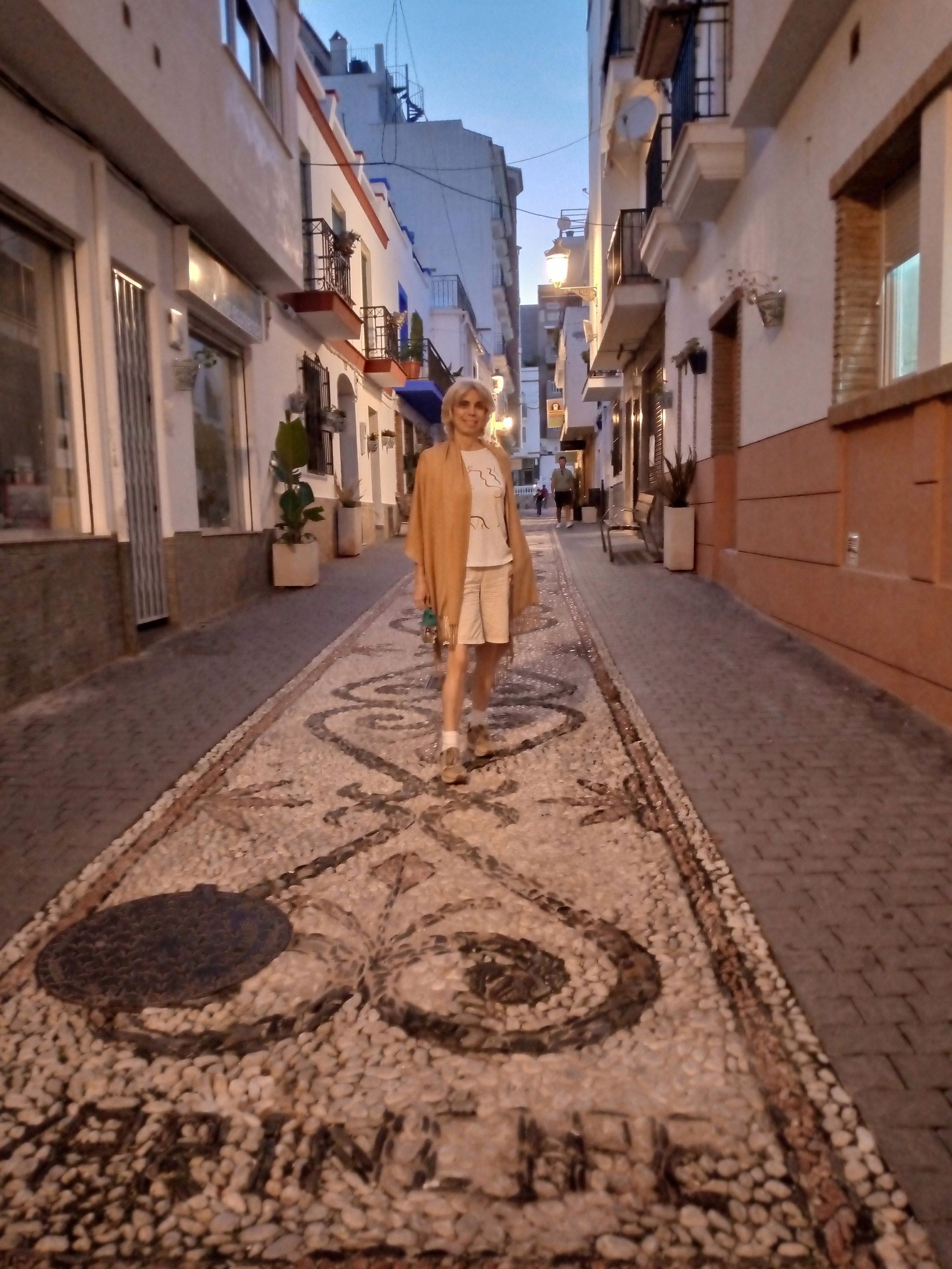 La Herradura calle.jpg