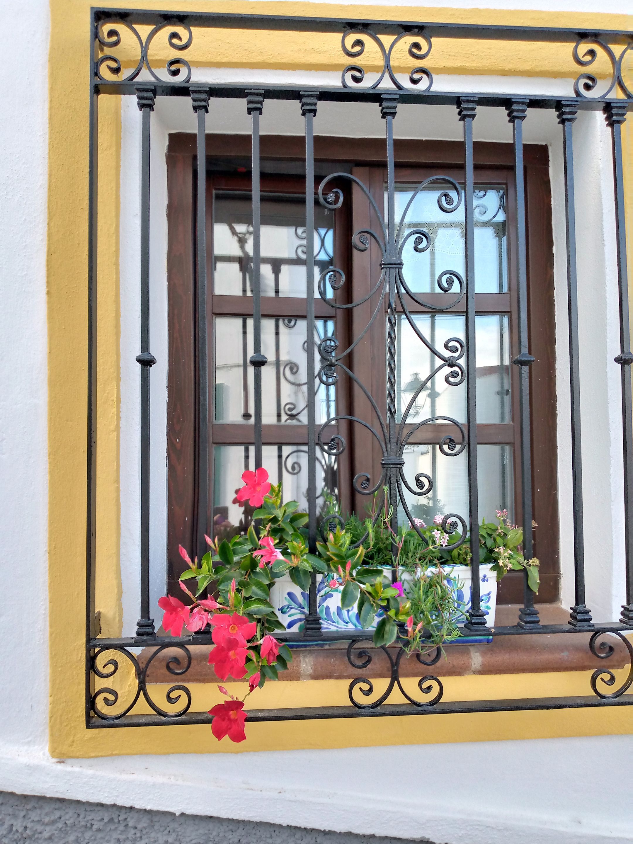 Salobreña ventan con flores.jpg