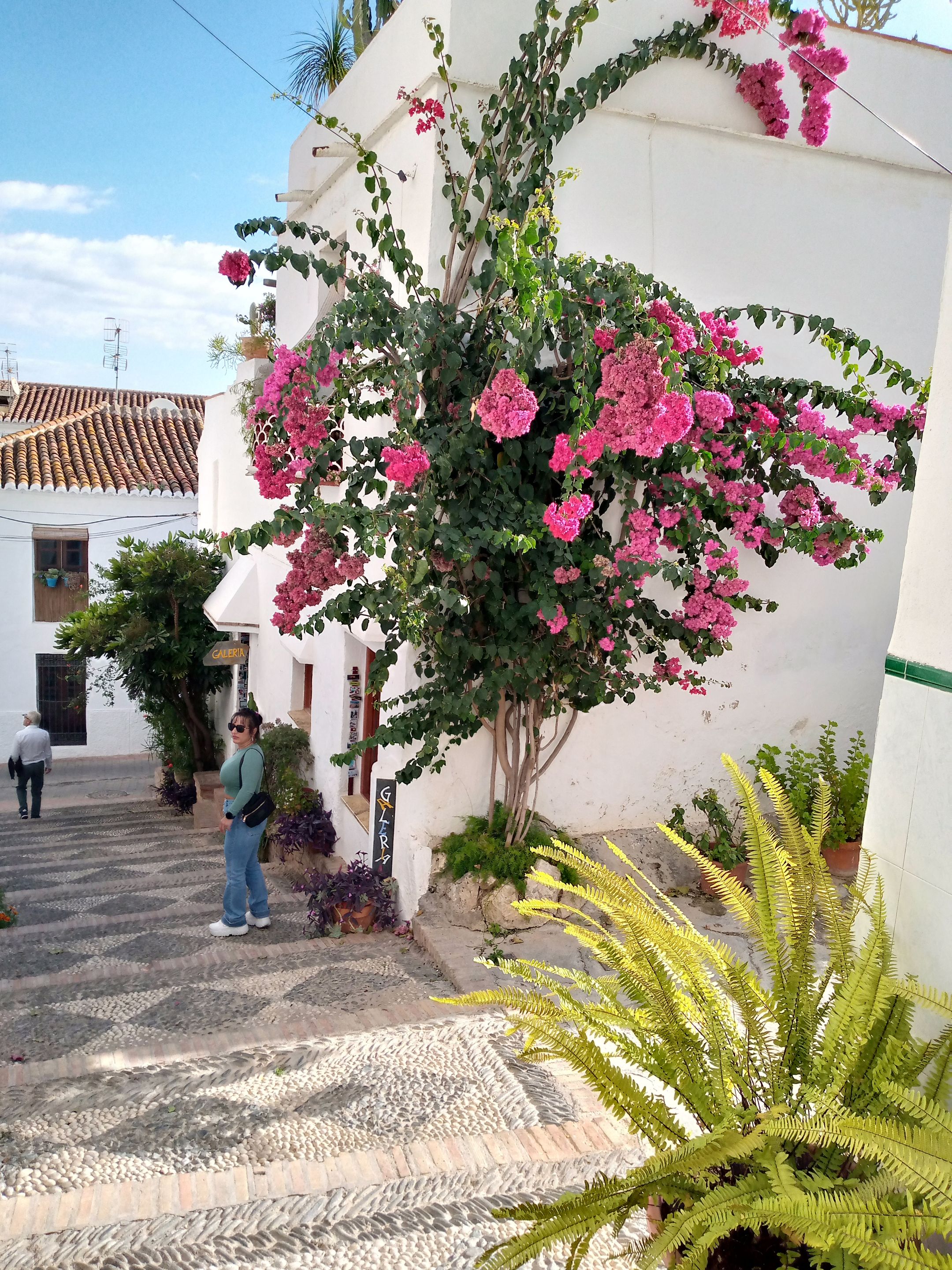 salobreña calle con flores.jpg