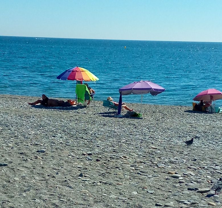 playa La Herradura.jpg