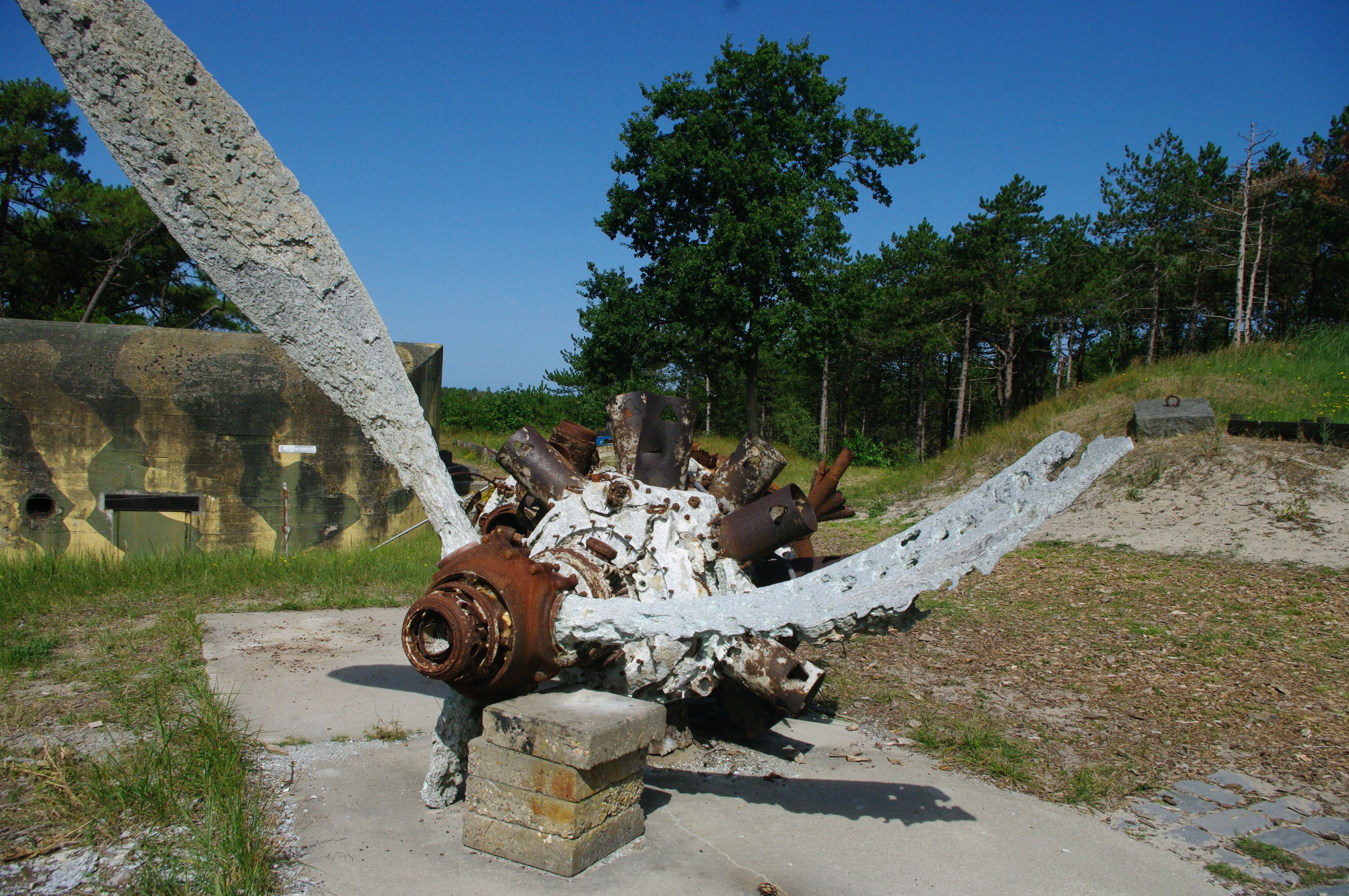 IMGP9143.JPG