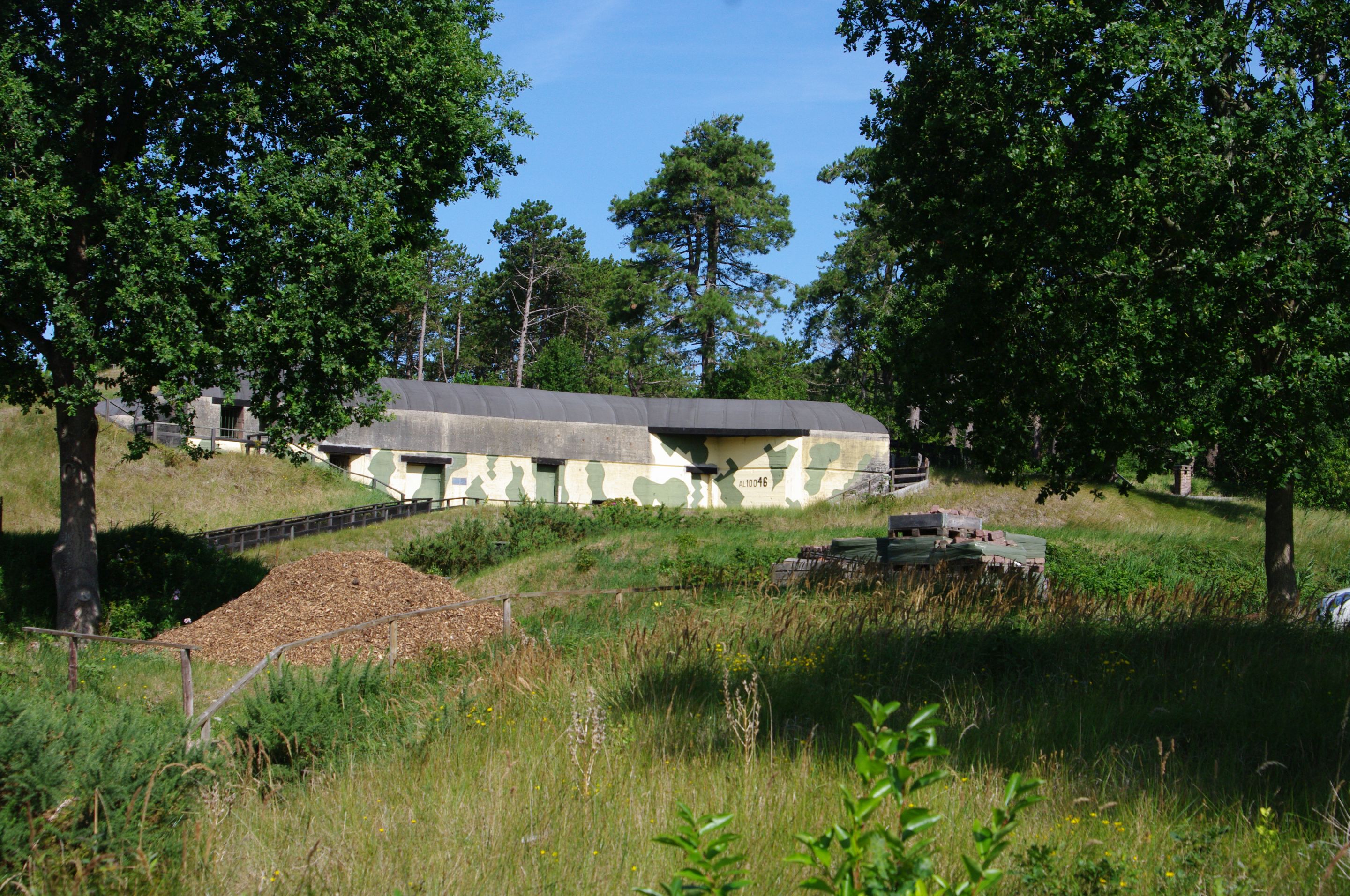 IMGP9108.JPG