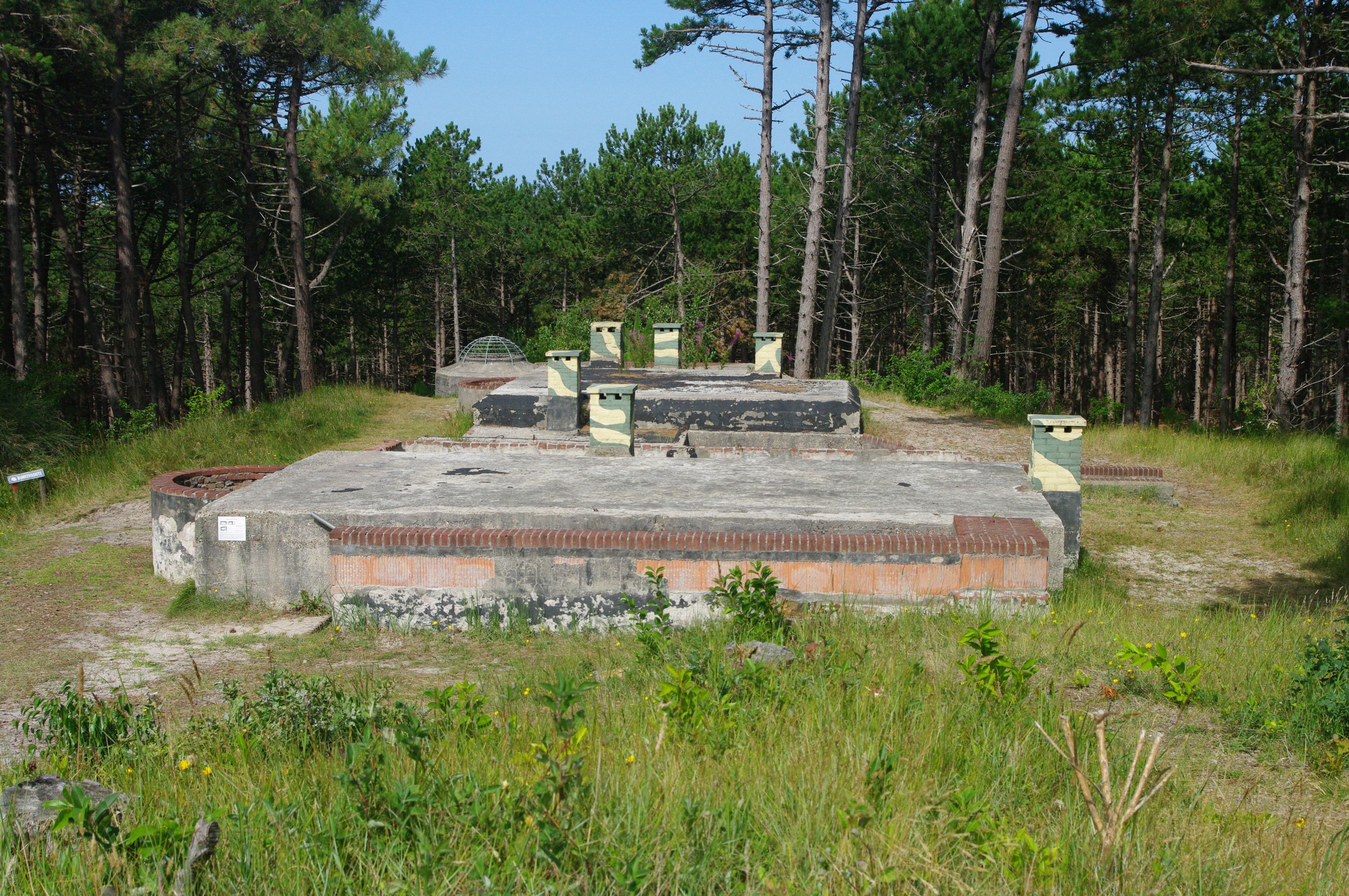 IMGP9132.JPG