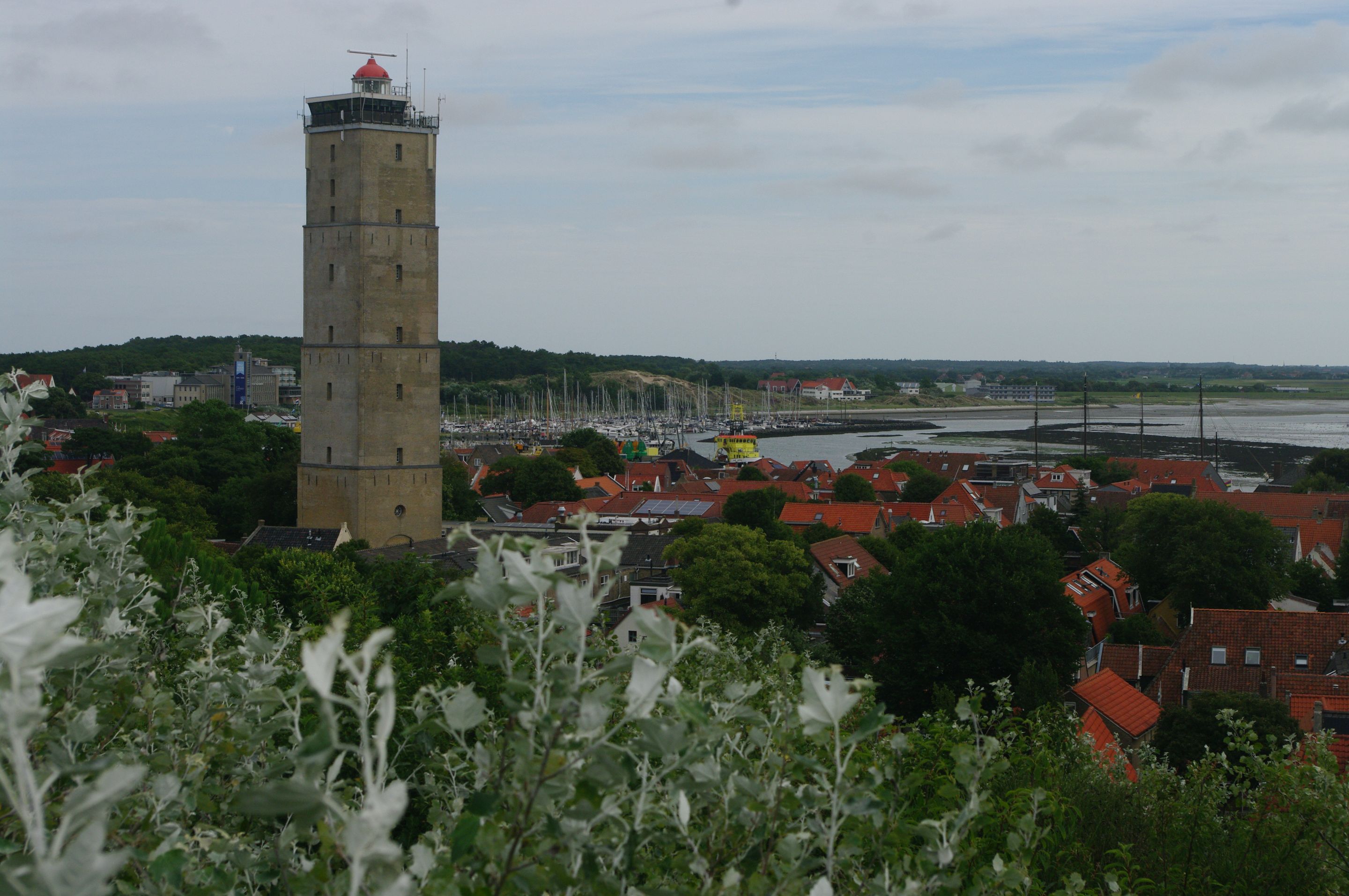 IMGP8851.JPG