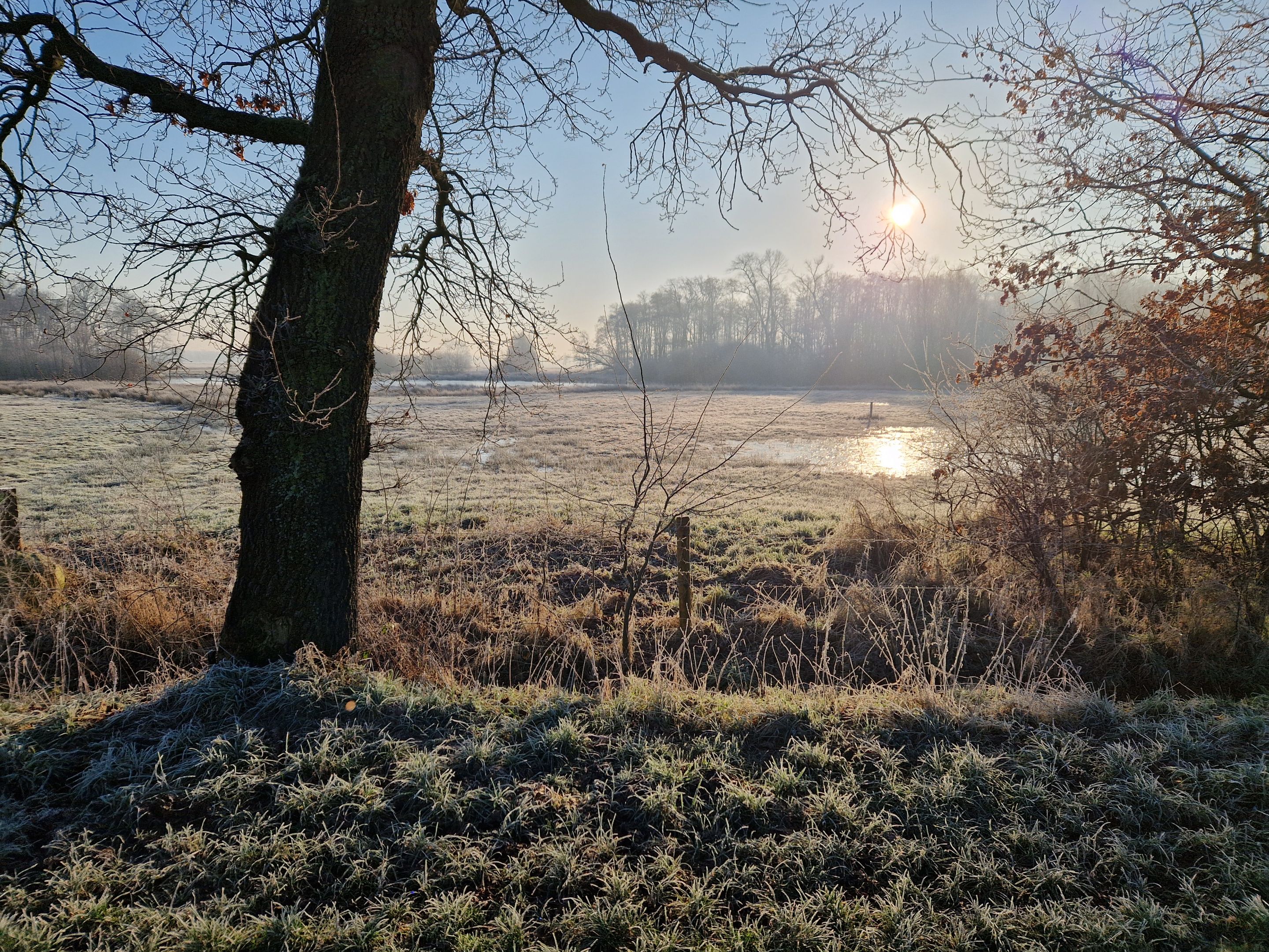 Morning run mid February 