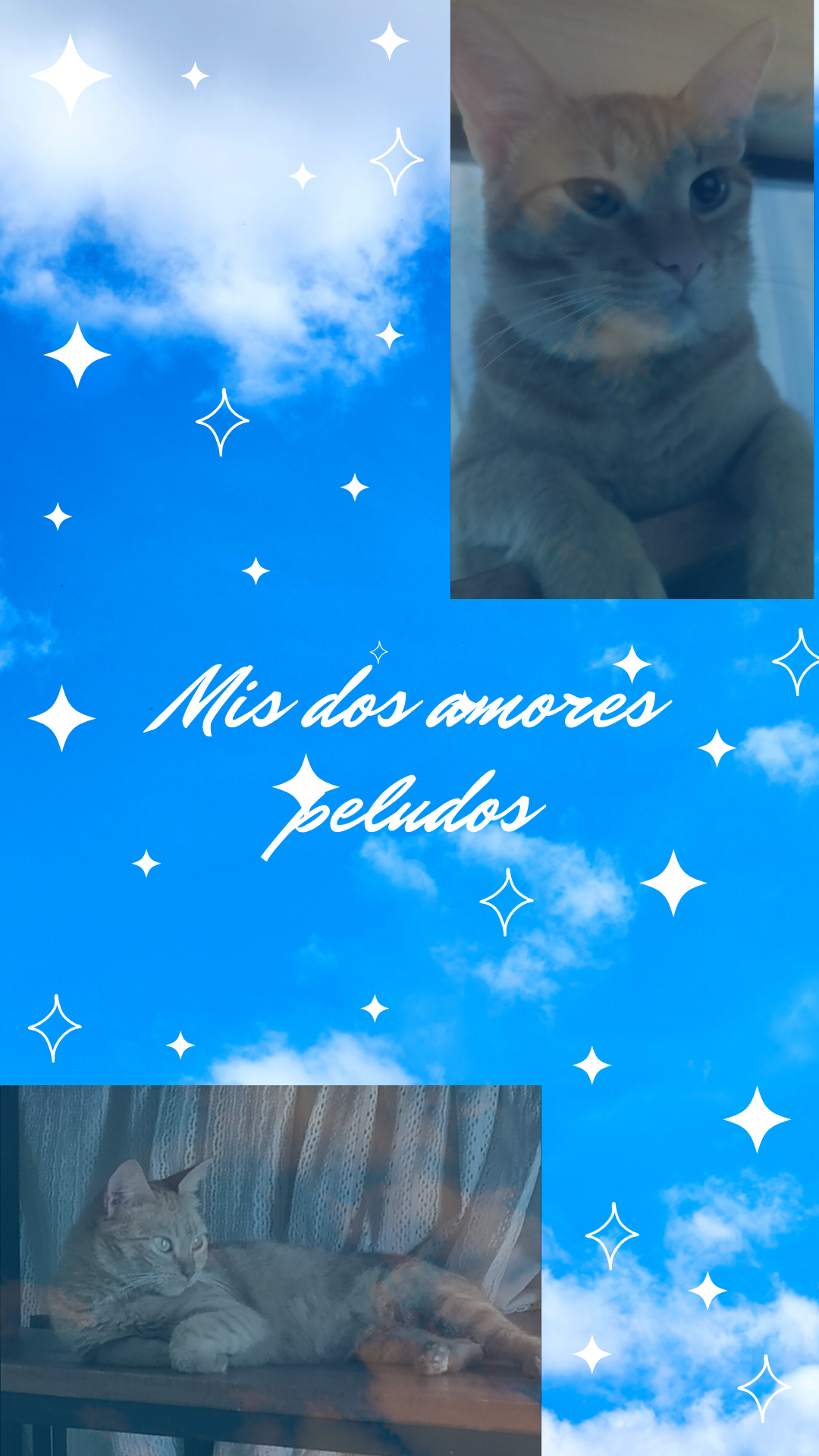 Instagram story frase positiva simple azul_20240226_073629_0000.png
