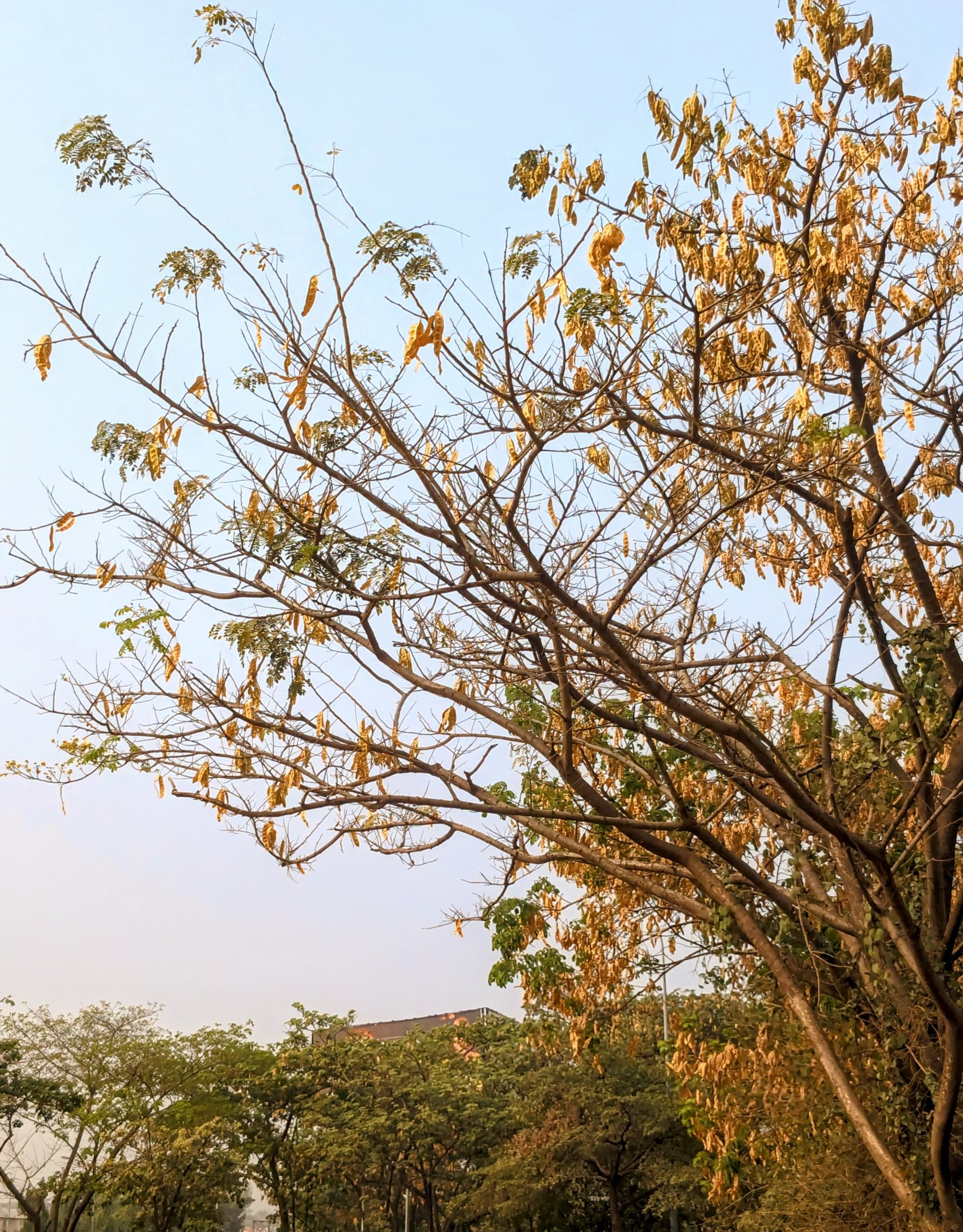 C1D15622-A5C2-420C-9B19-FFC21FCF4178.jpeg