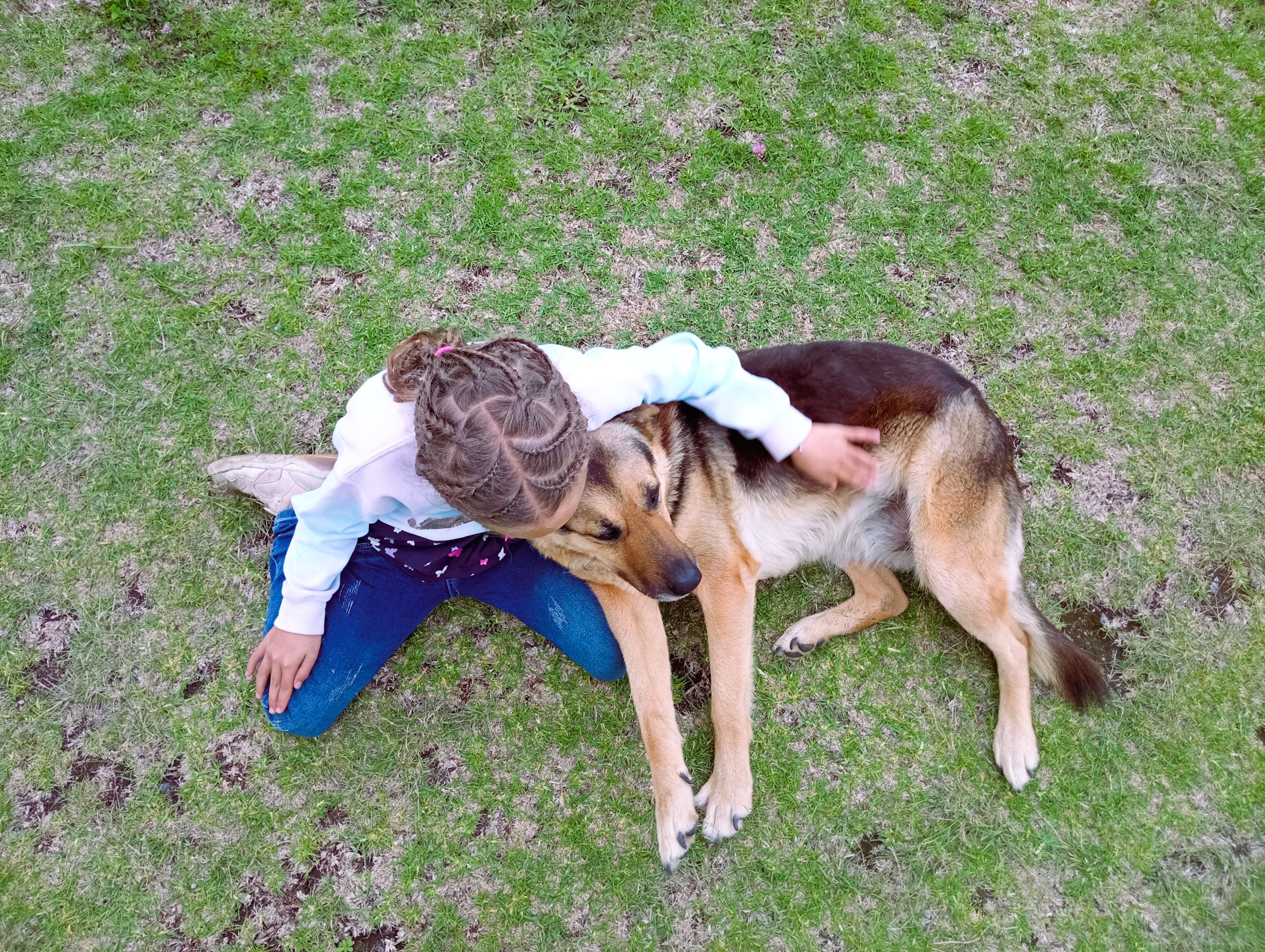 She loves that dog. Raya was our dog for a long time, until the house we rented was sold, and we moved into the city. Raya stayed with the new owners, but we still visit frequently, at least whenever Lily has to go to the dentist, which is more frequent than I'd like.
