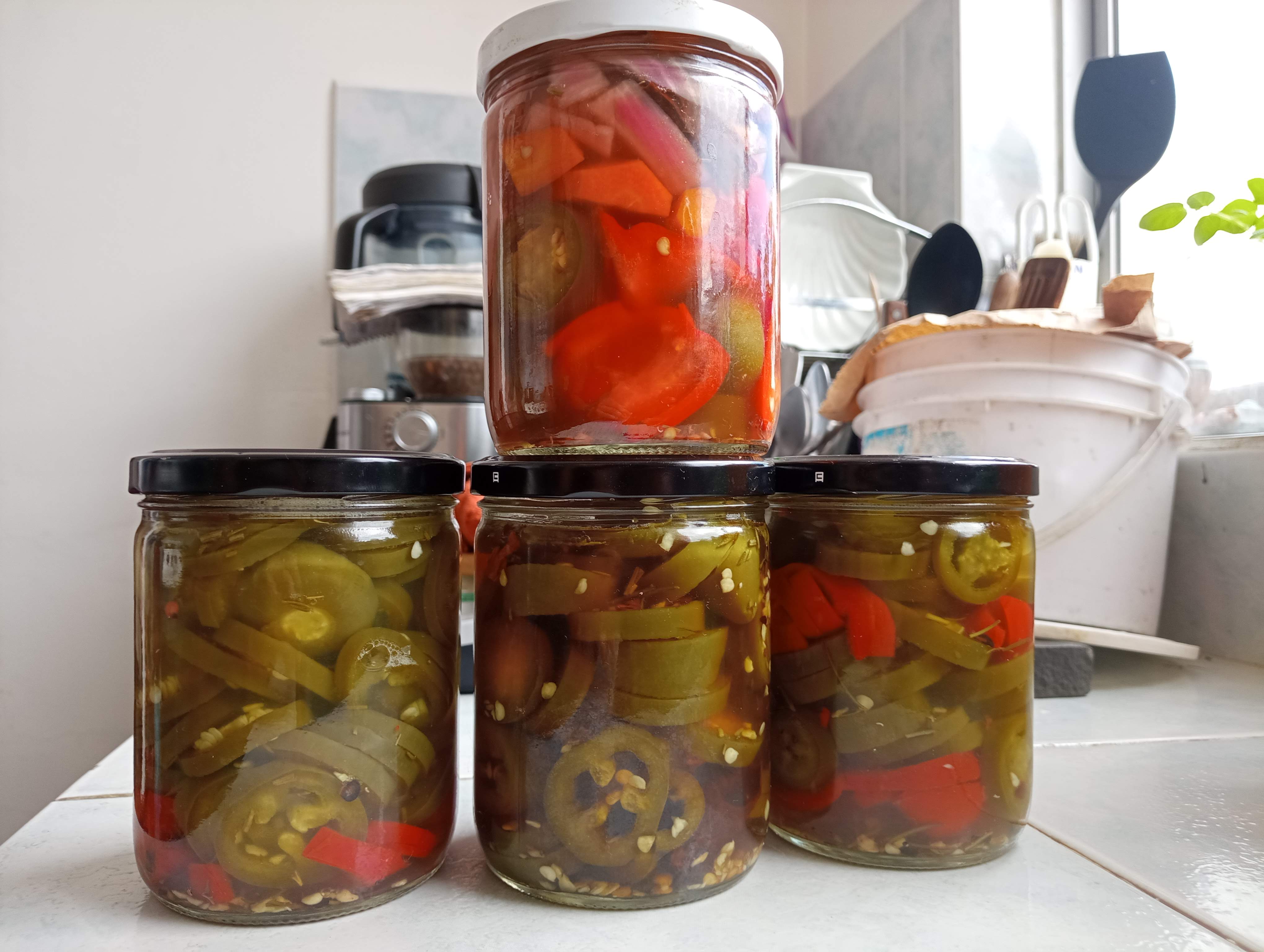 A friend got me the green jalapeño. Not much hotter than regular bell peppers. Cmobined with some local rocoto and tree chili it should have a bite.