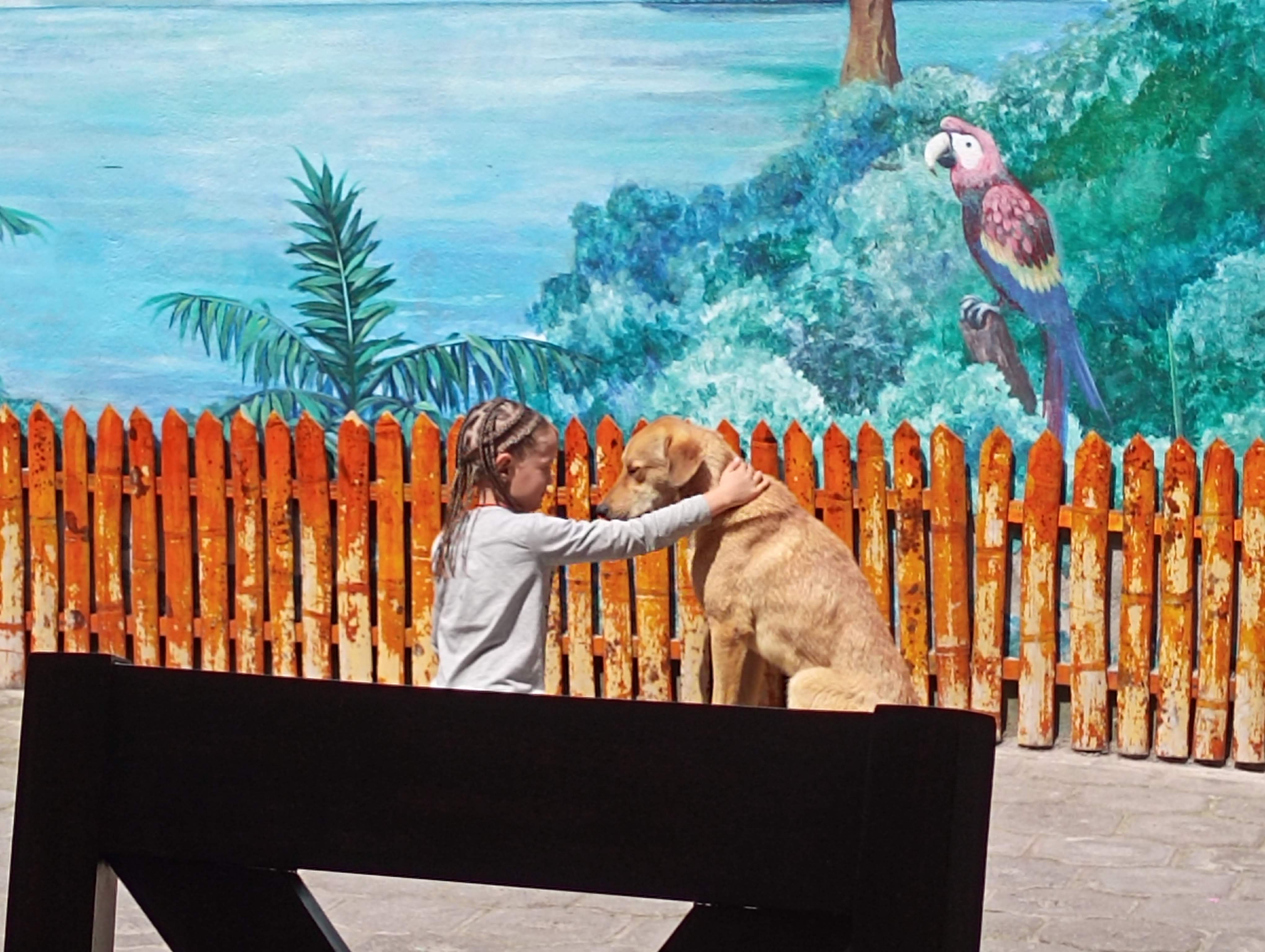 Lily doesn't like to brush her hair. She wanted to cut it, but her mom didn't want her to. Compromise: Make a lot of braids that last a week. I love how she's seemingly connected to the dog in this one.