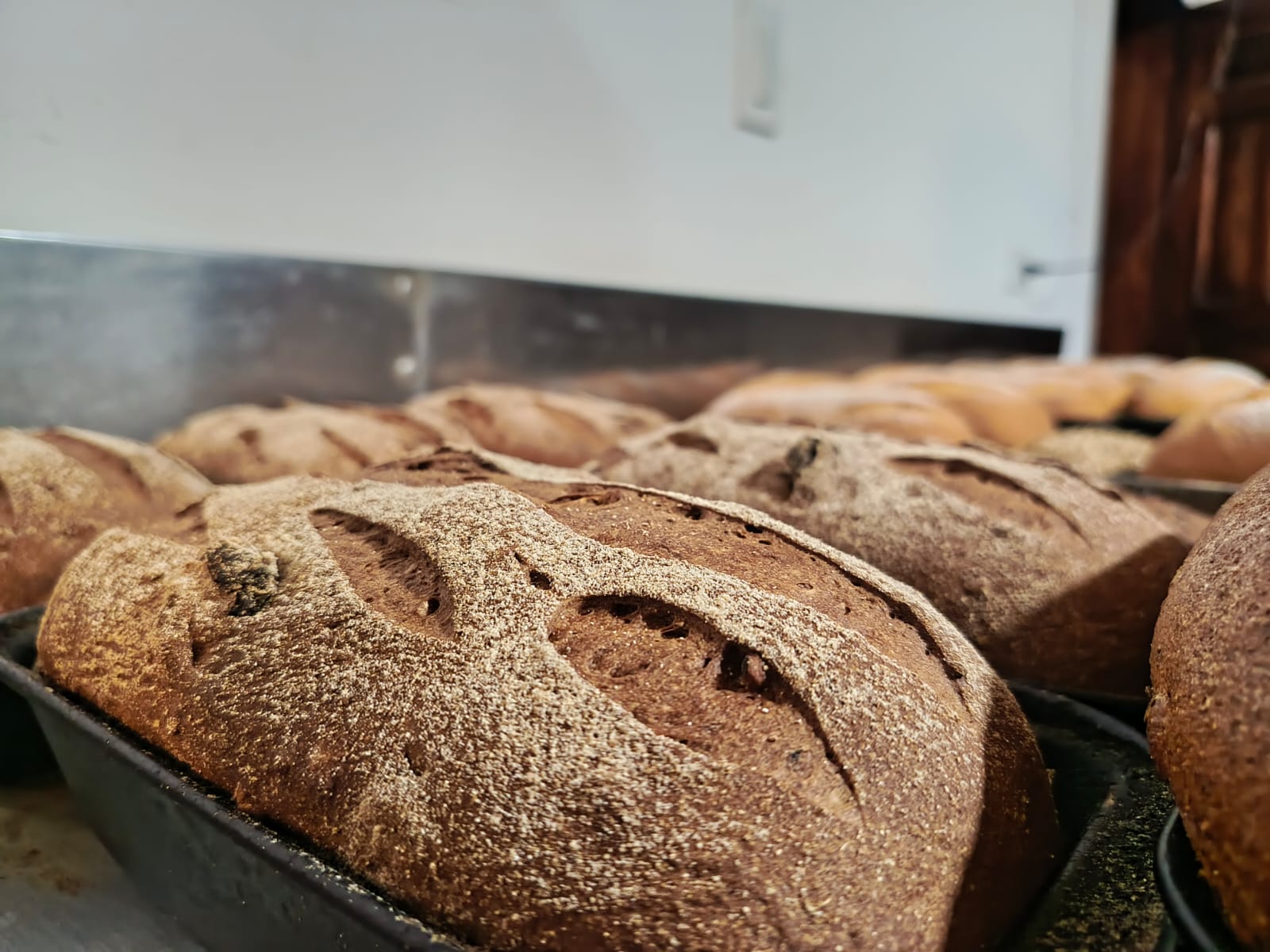 Walnut raisin bread. Only 4 HBD per loaf!