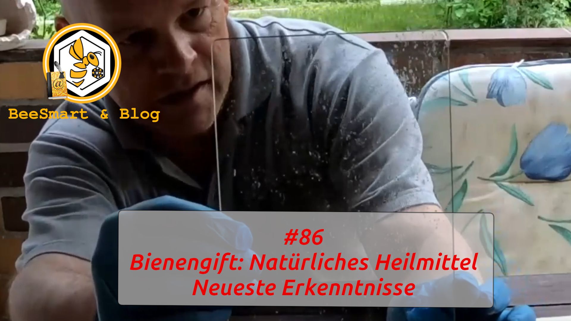 086BienengiftNeueErkenntnisse.jpg