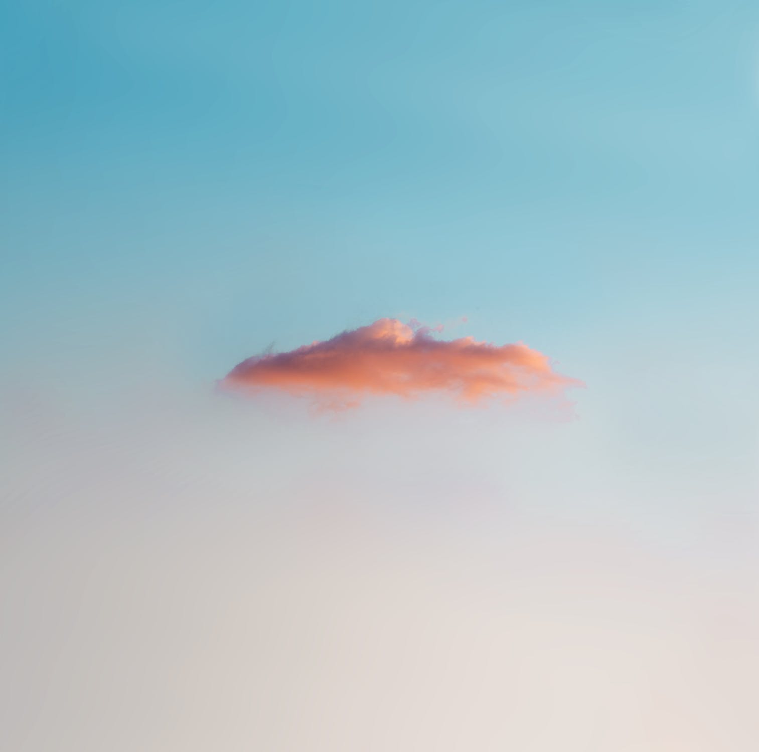 1000235294.jpg