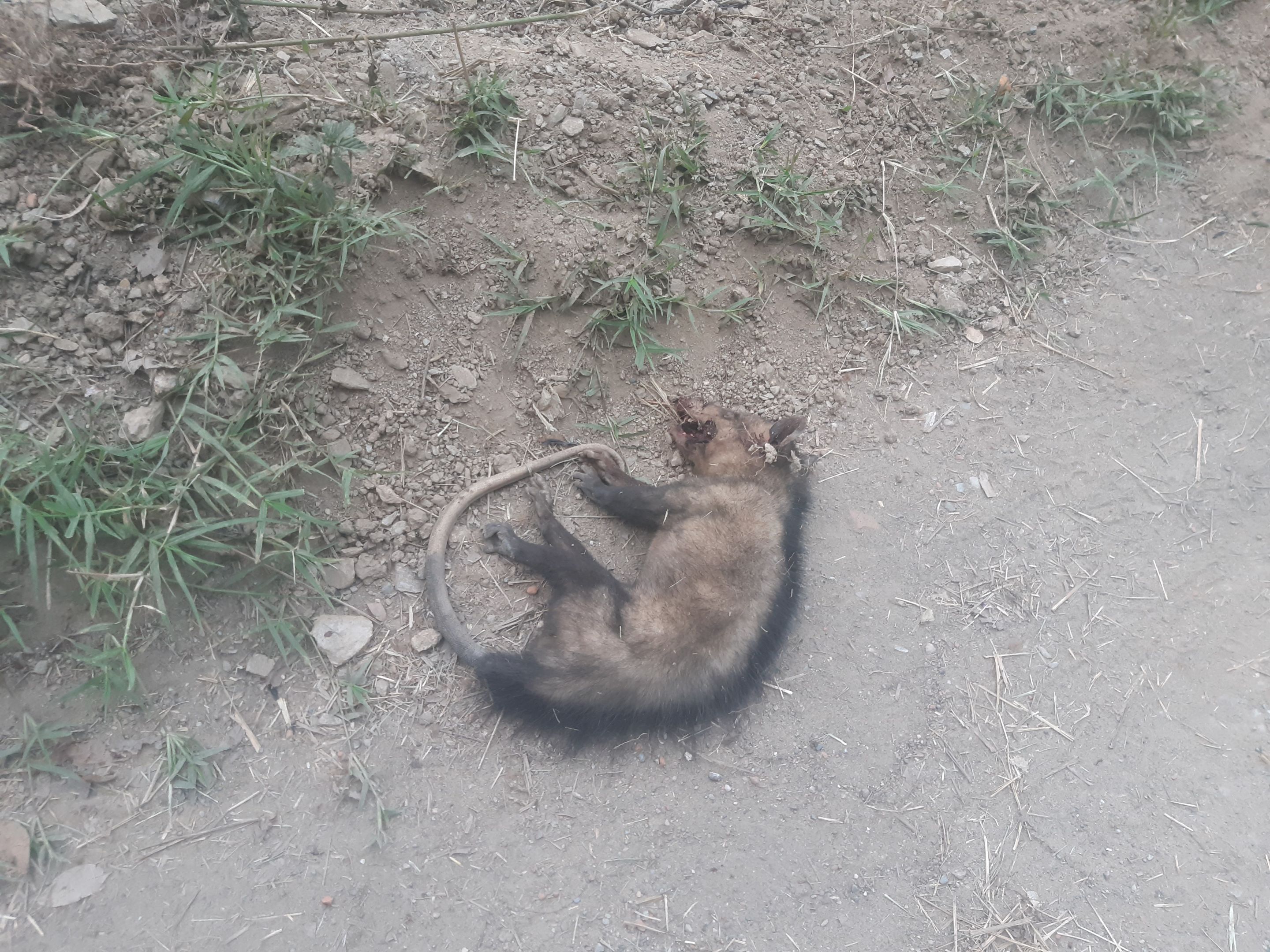 20230509_065034.jpg/