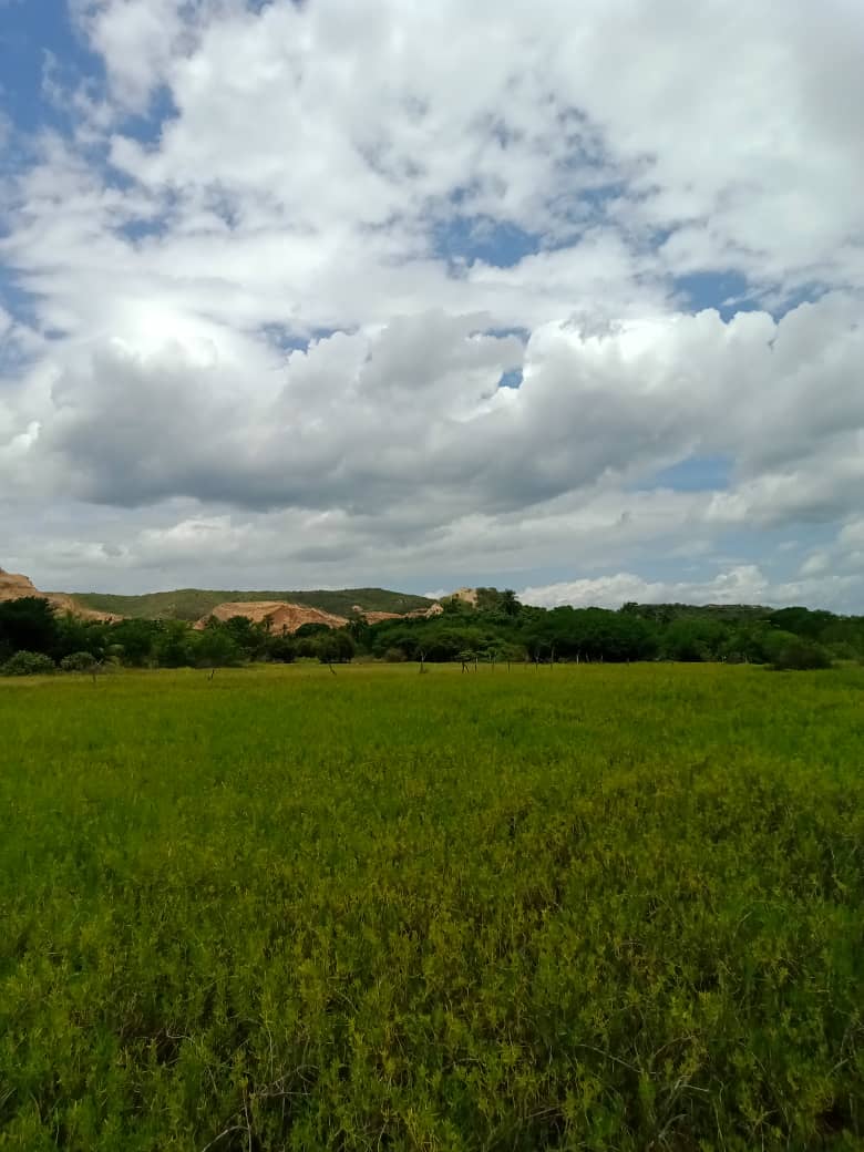 paseo cerro (17).jpeg