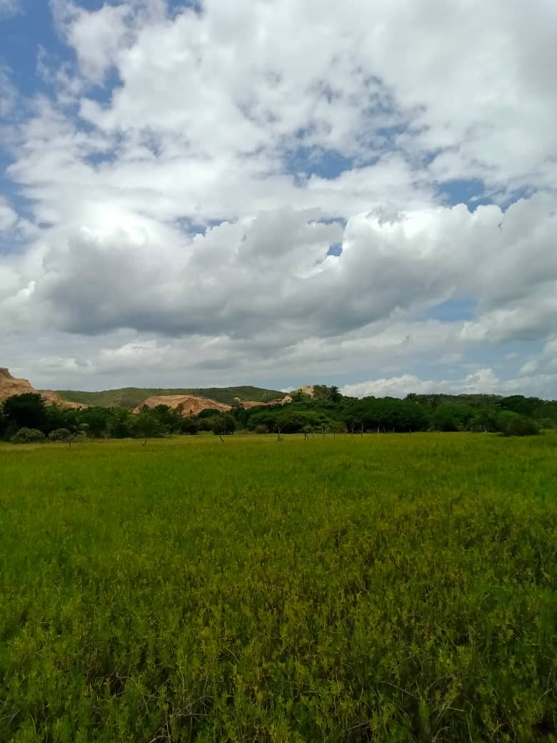 paseo cerro (16).jpeg