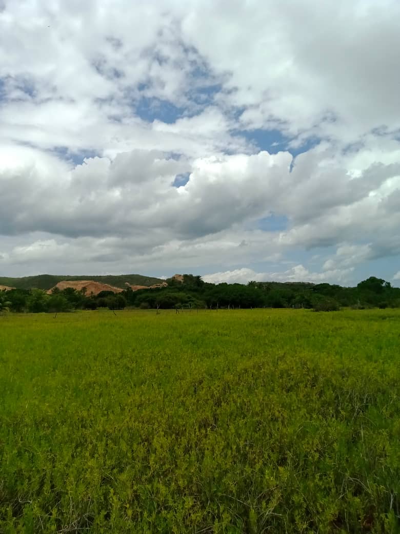 paseo cerro (21).jpeg