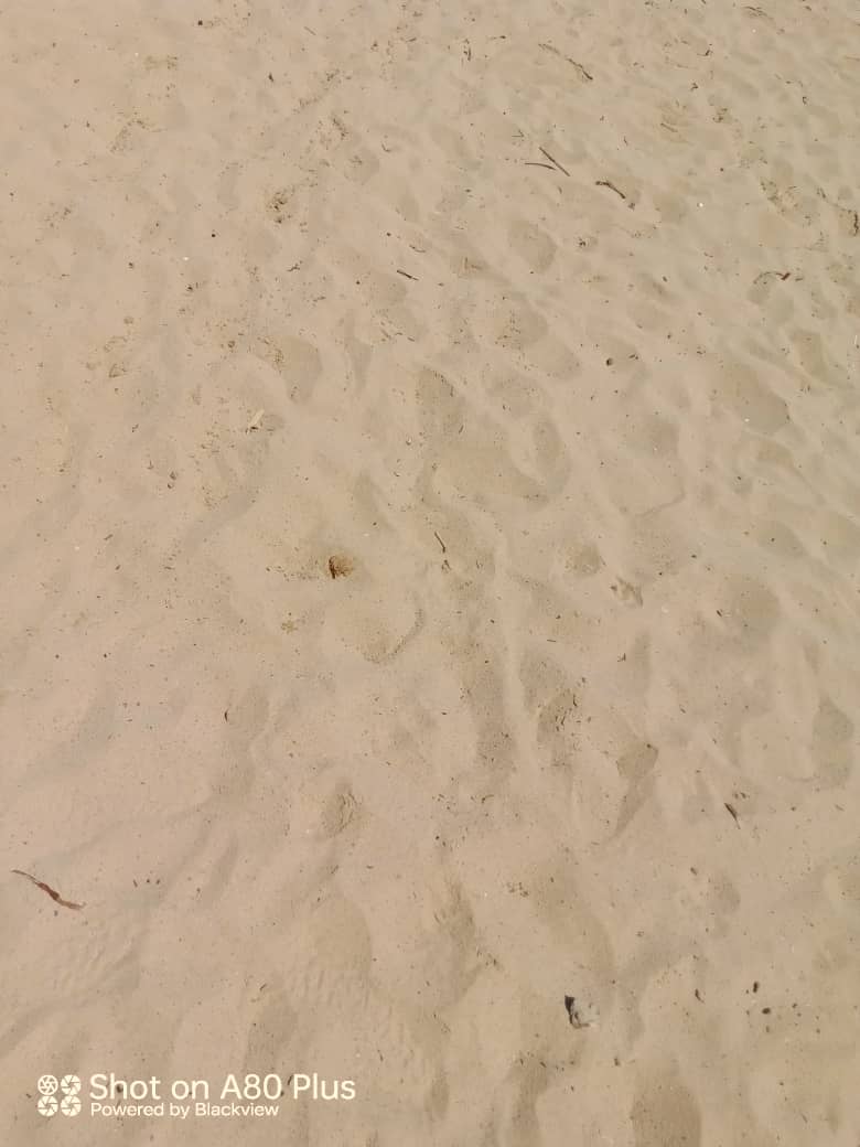 peñón playita (35).jpeg