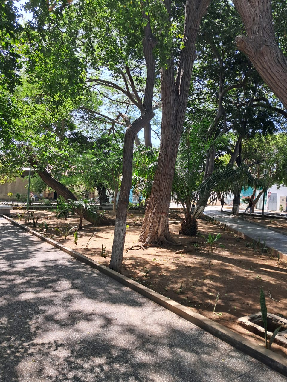 plaza Bermúdez (6).jpeg