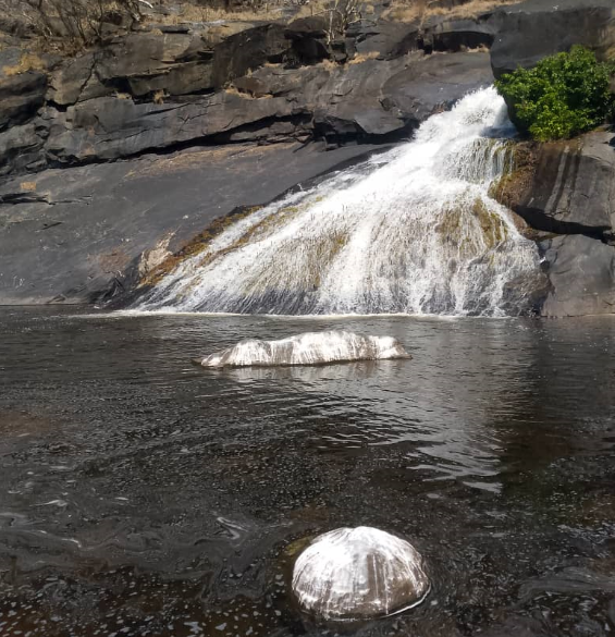 río 6.png
