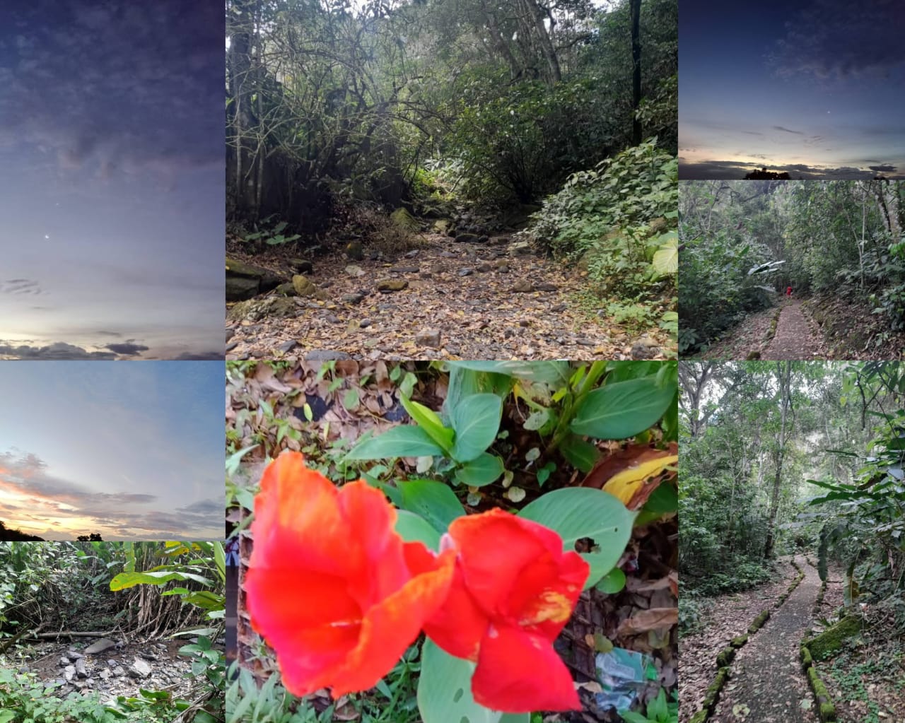 Beautiful morning hiking in Caripe and observing the mountain scenery (Eng - Esp)
