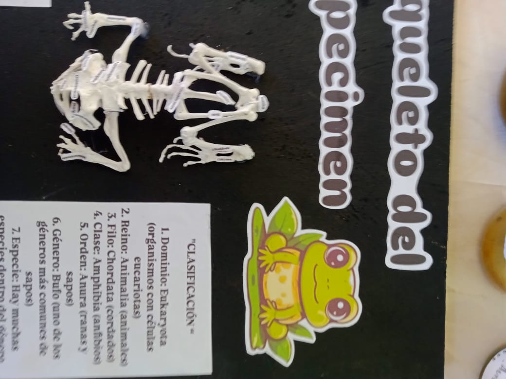 maqueta (4).jpeg