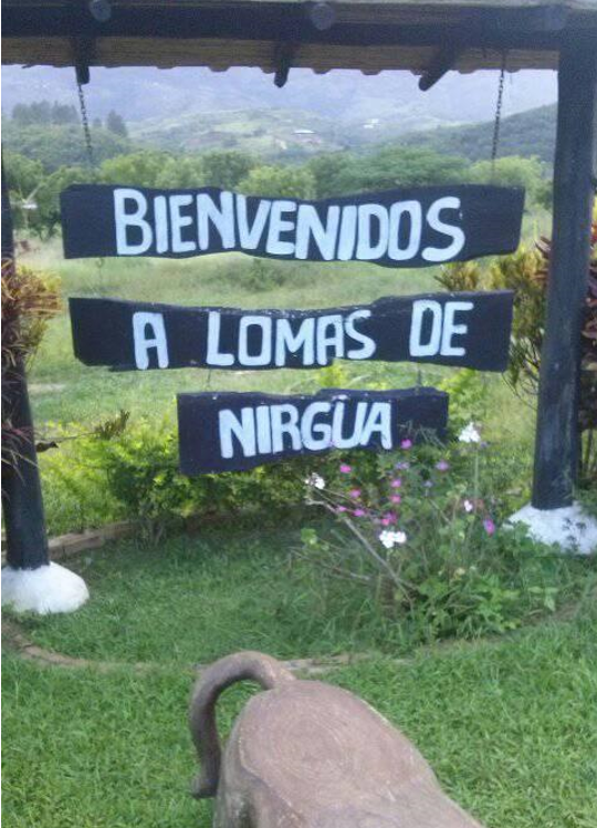 lomas 9.png