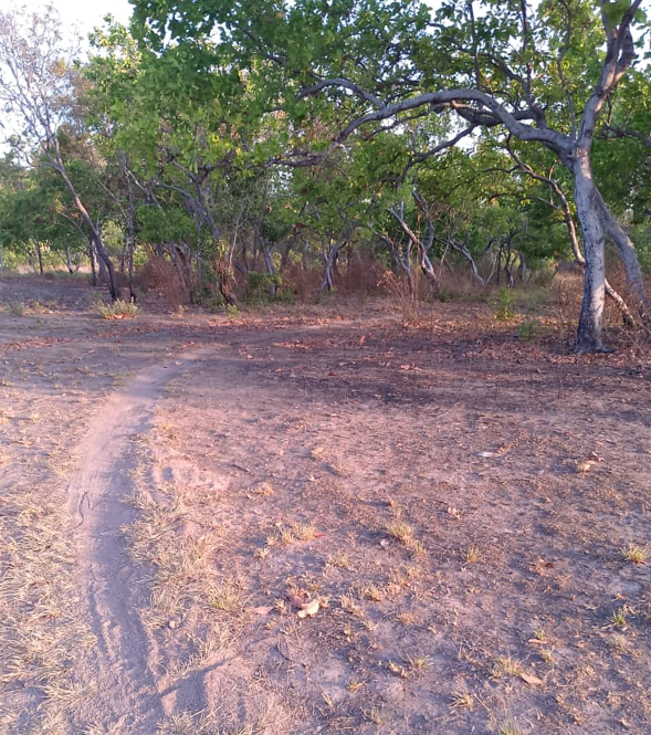 río 14.png