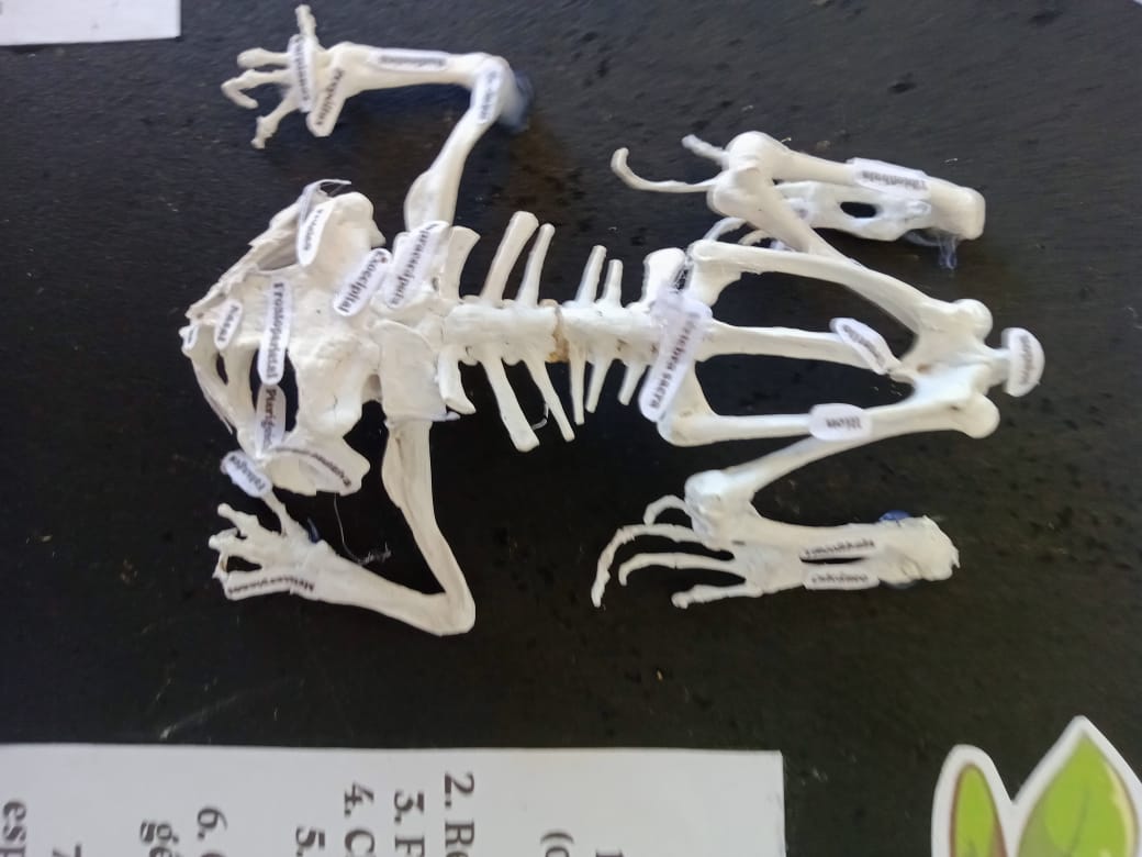 maqueta (3).jpeg