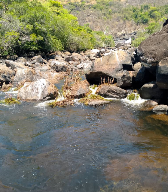 río 7.png