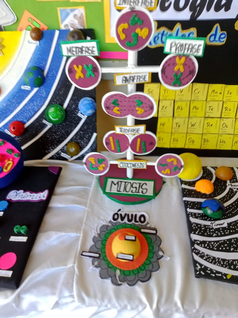 maqueta (2).jpeg