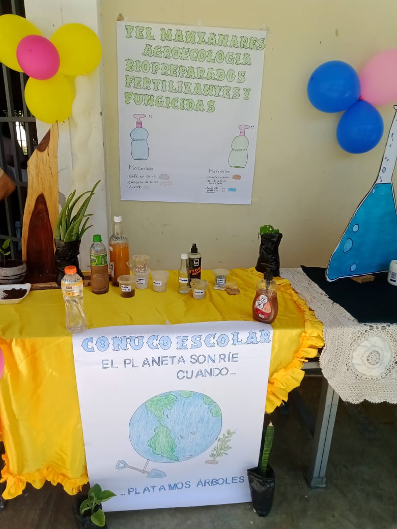 pas. cientif (14).jpeg