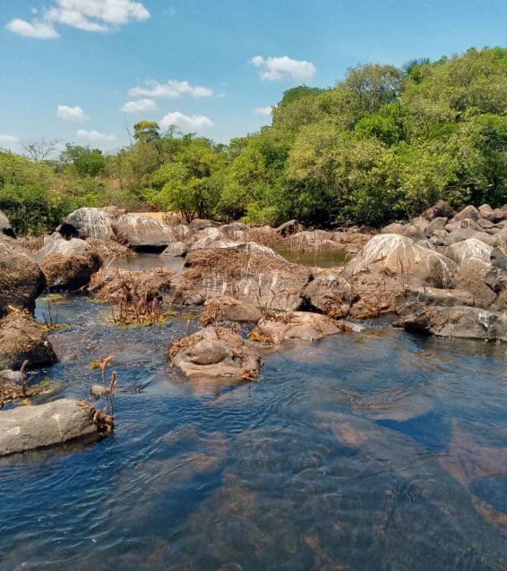 río 8.png