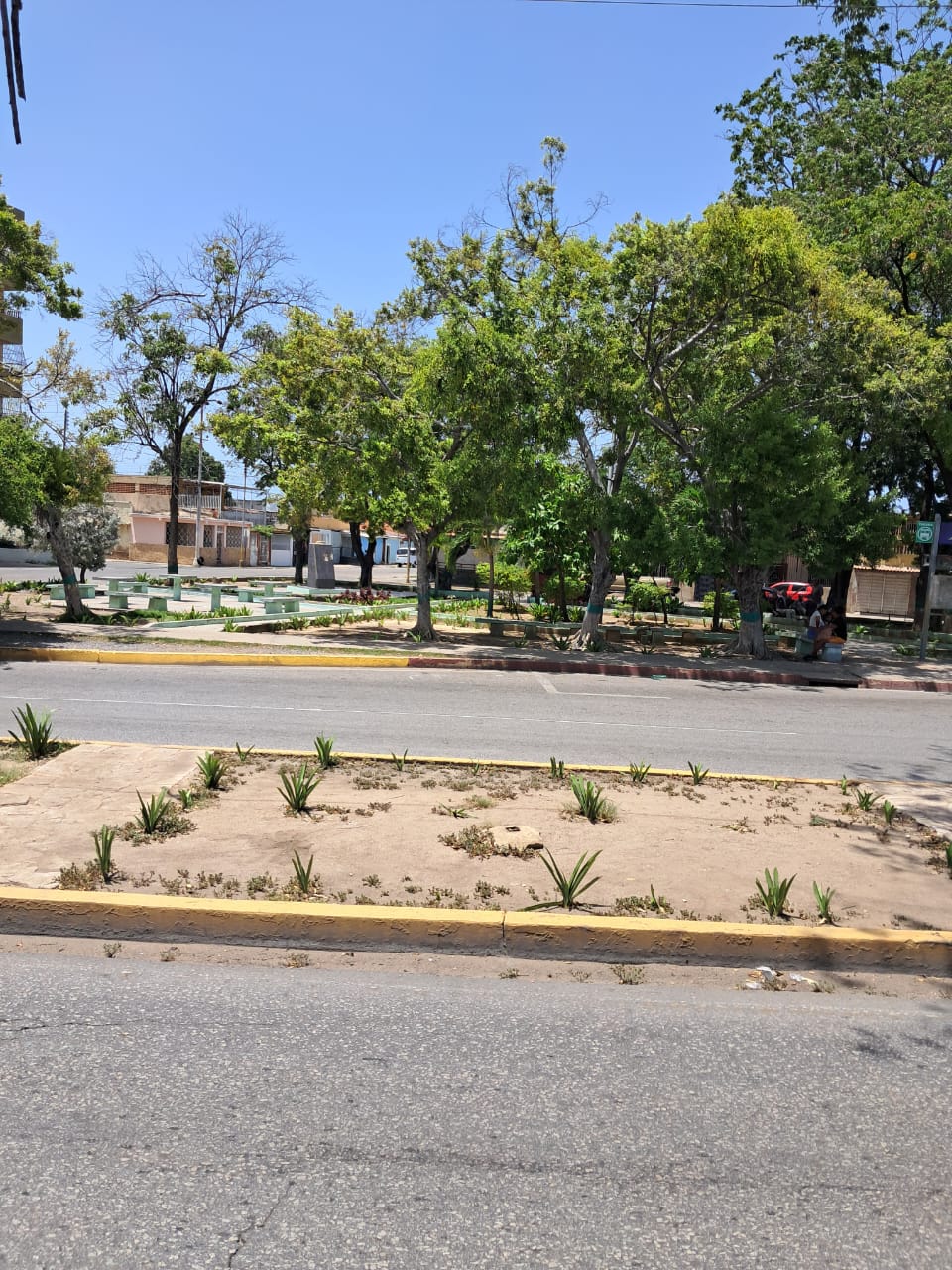 cerro y más (1).jpeg