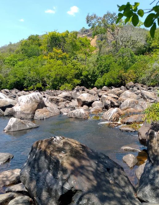 río 11.png