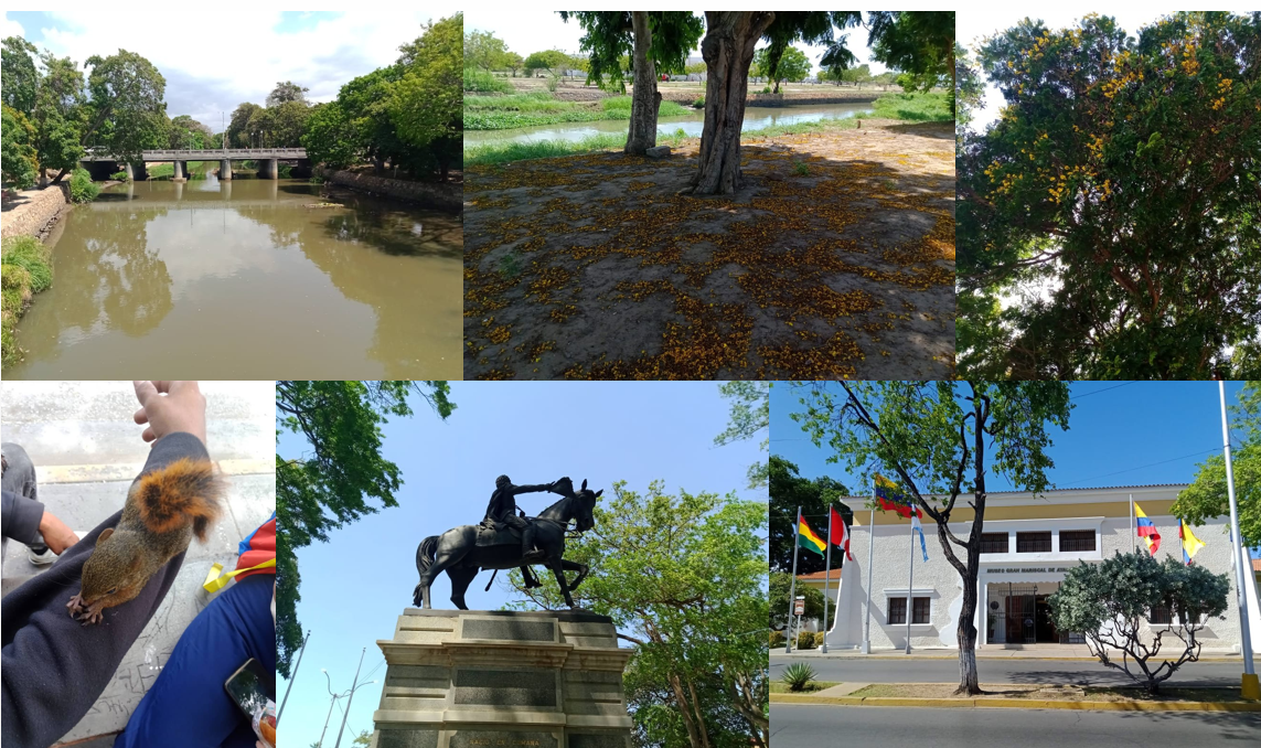 Parque A.png
