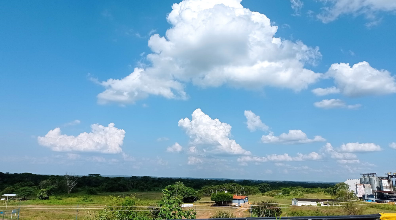 recorriendolos llanos (4).png