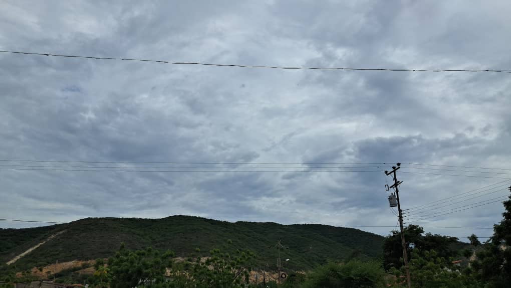 verde (1).jpeg