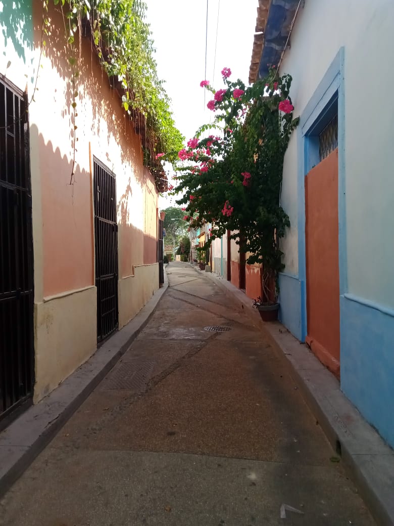 ciudad mural (40).jpeg