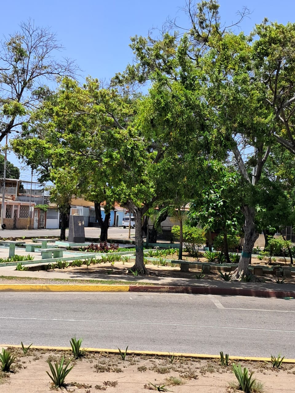 cerro y más (2).jpeg