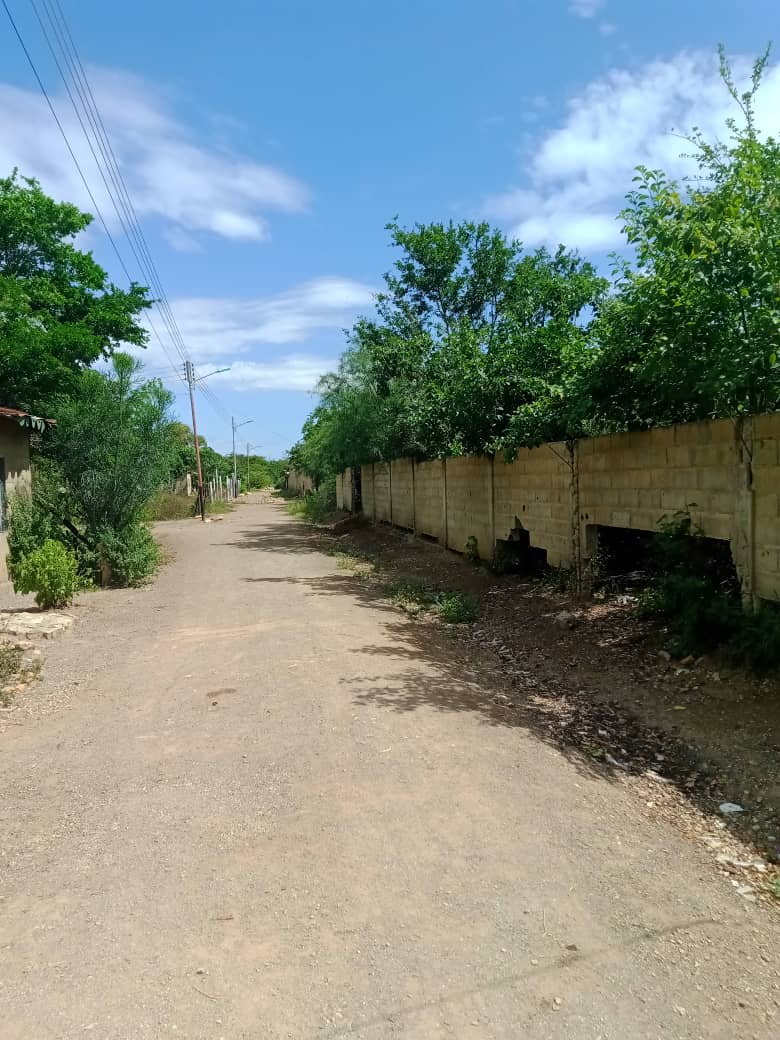 paseo cerro (8).jpeg