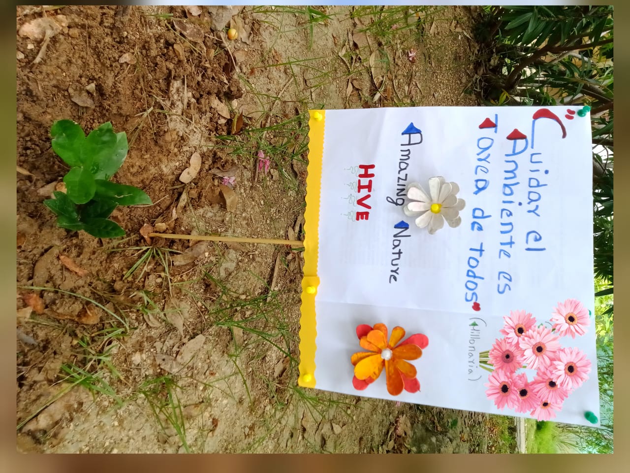 plant a tree (10).jpeg