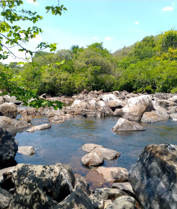 río 12.png