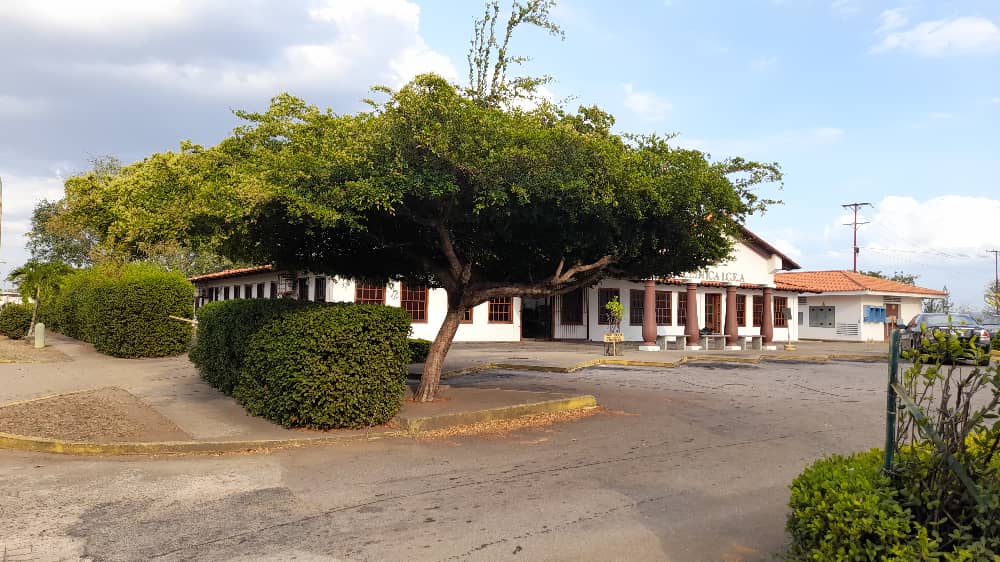 clinica icea (10).jpeg