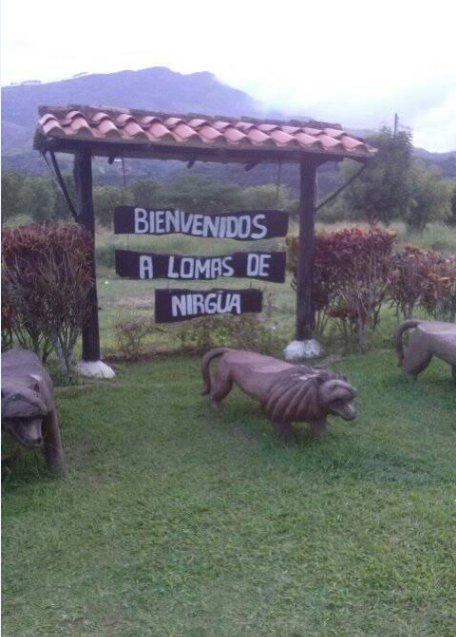 lomas 12.png