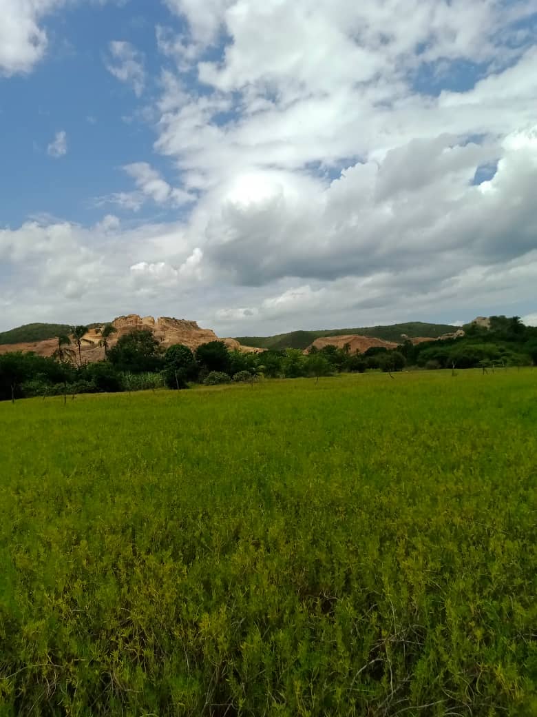 paseo cerro (20).jpeg
