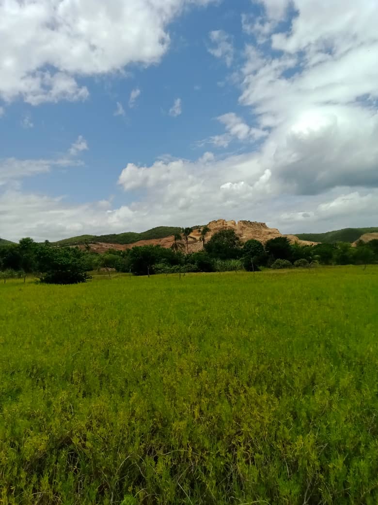 paseo cerro (19).jpeg