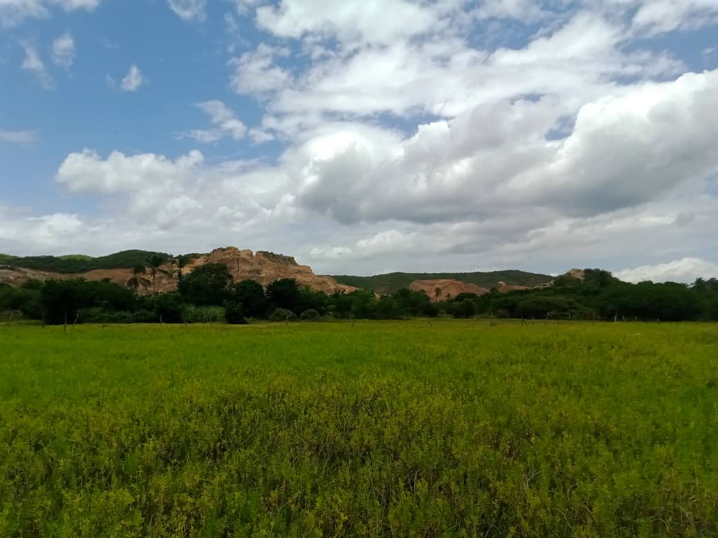 paseo cerro (22).jpeg
