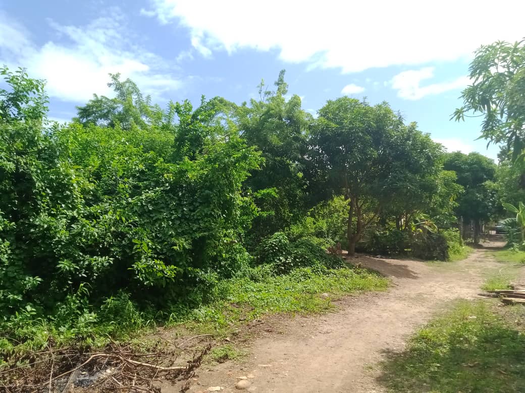 paseo cerro (4).jpeg